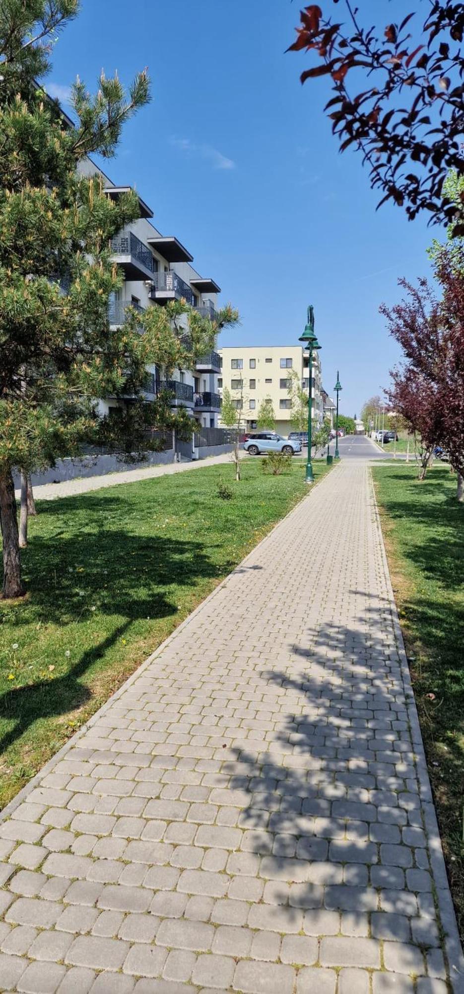 Amazing Apartament With Garden Bucharest Airport Self Check-In!! Otopeni Exterior foto